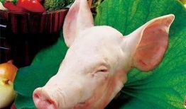 猪头吃瓜爆料图片大全,揭秘爆笑图片背后的趣味瞬间